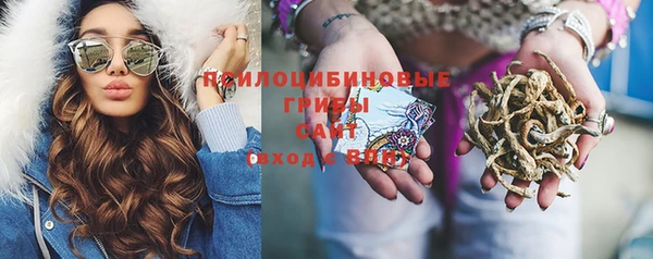 молекула духа Аркадак